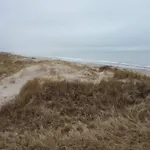 8 Person In * Nørre Nebel